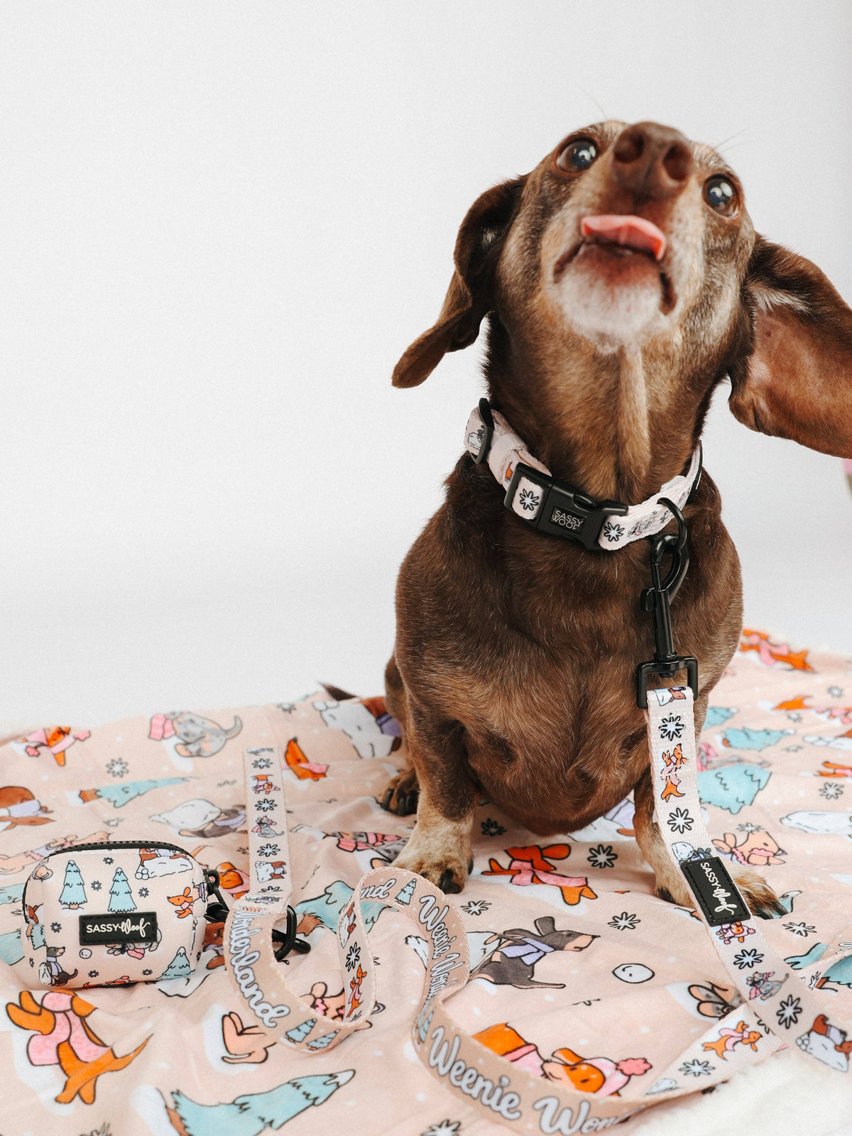 Weenie Wonderland | Dog Leash