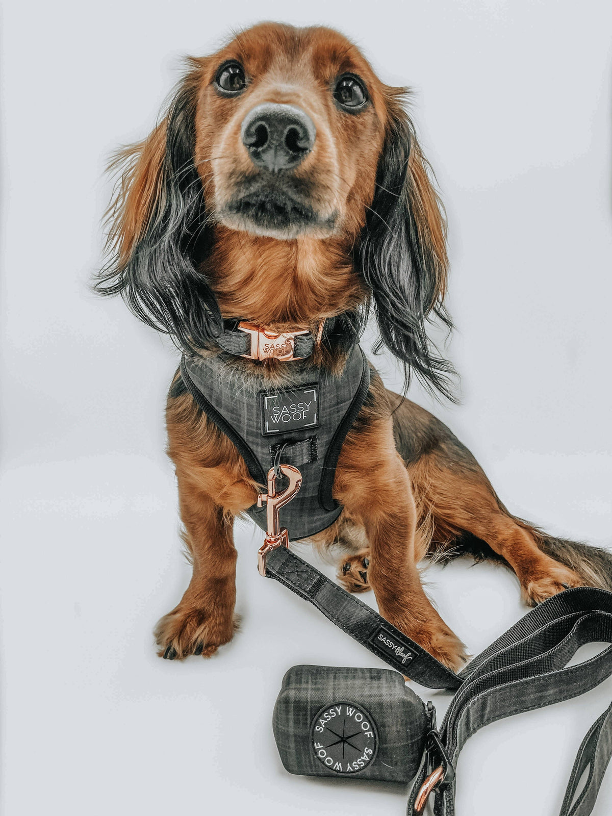 Black Plaid | Dog Leash