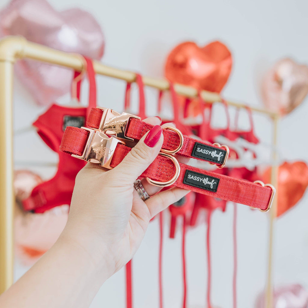 Merlot | Dog Collar