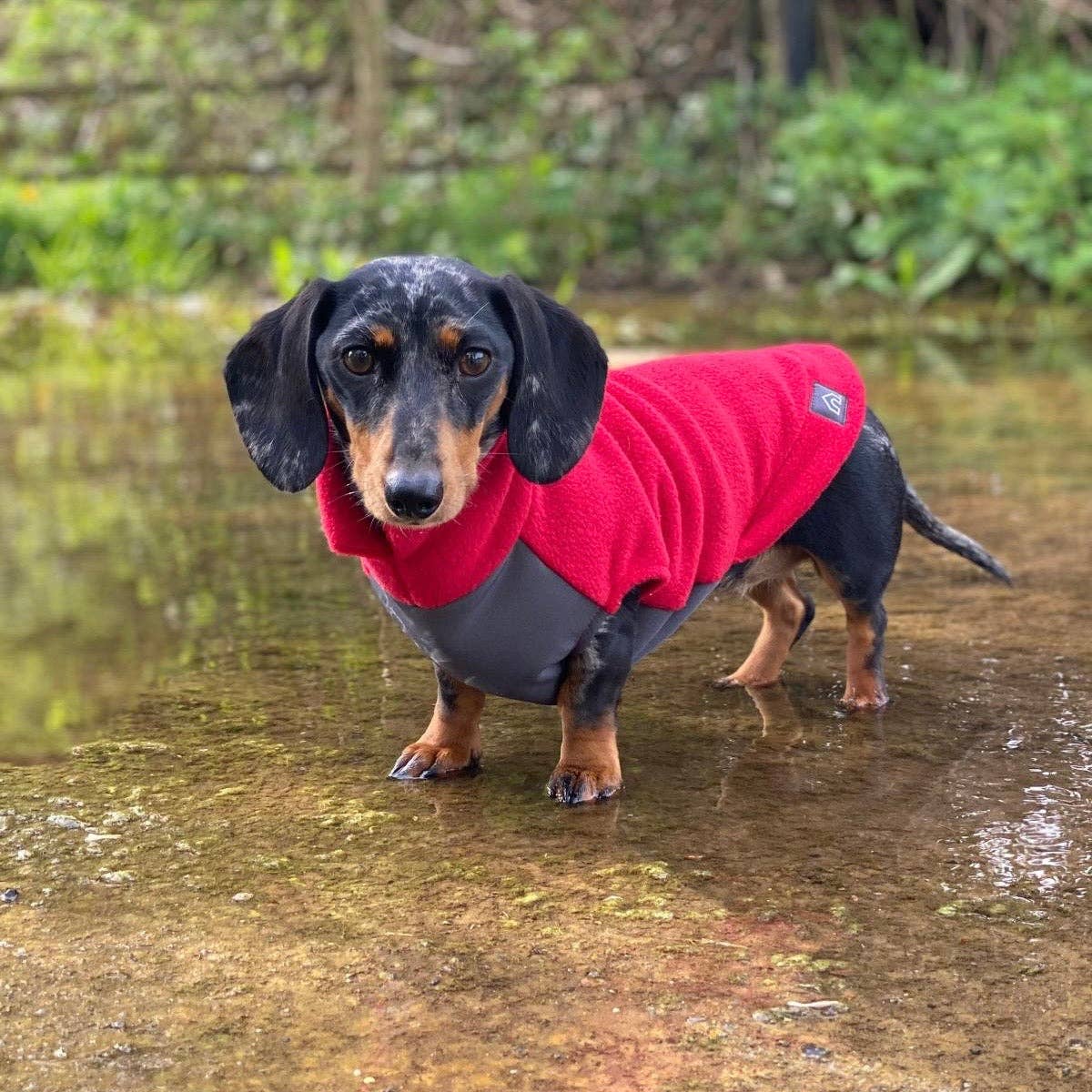 Mini Dachshund Fleece Sweater with Waterproof Belly Panel