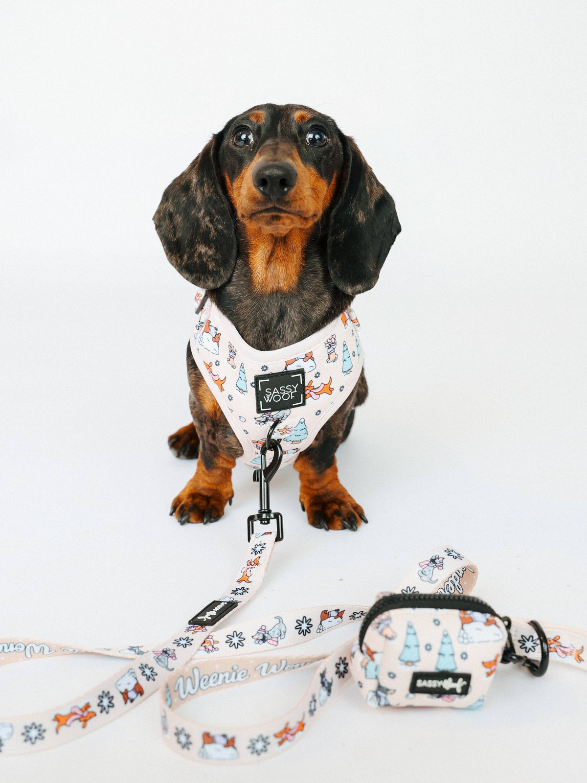 Weenie Wonderland | Dog Waste Bag Holder