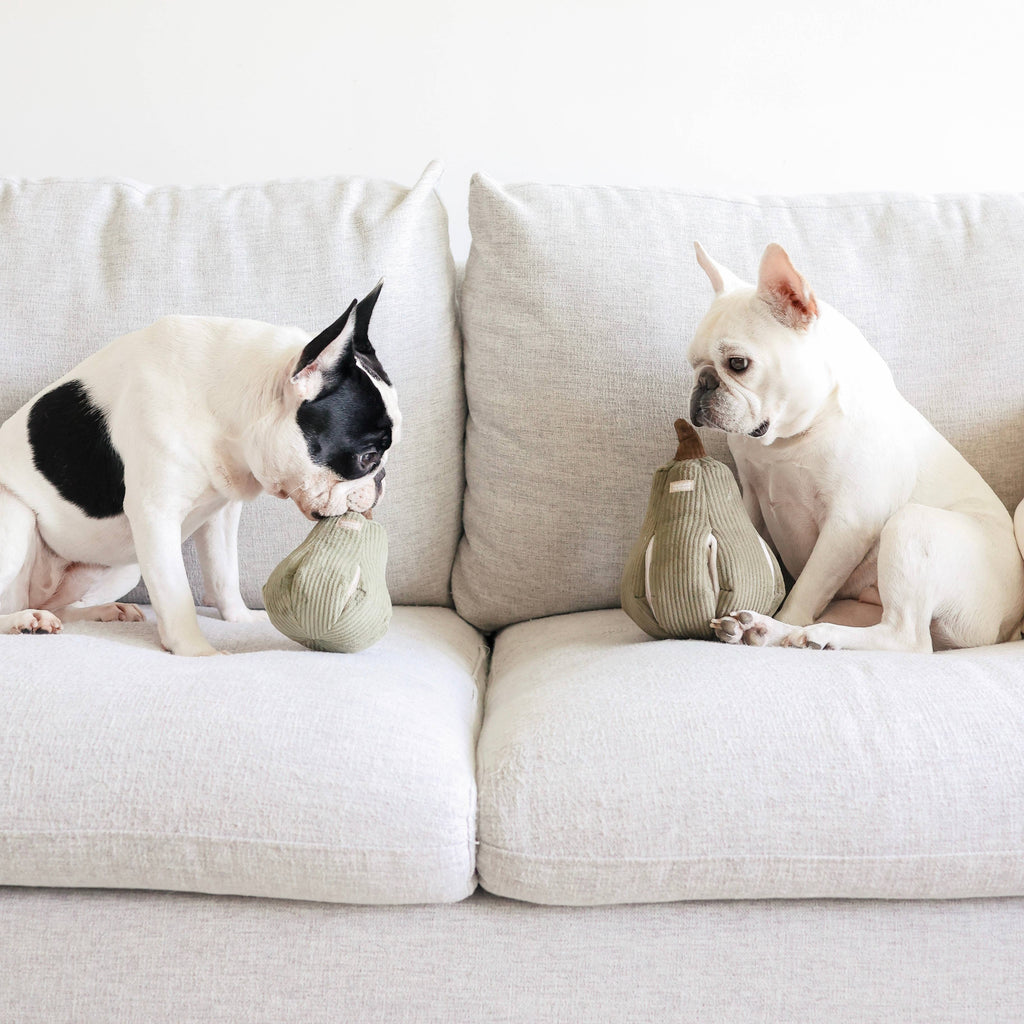 Butternut | Dog Toy