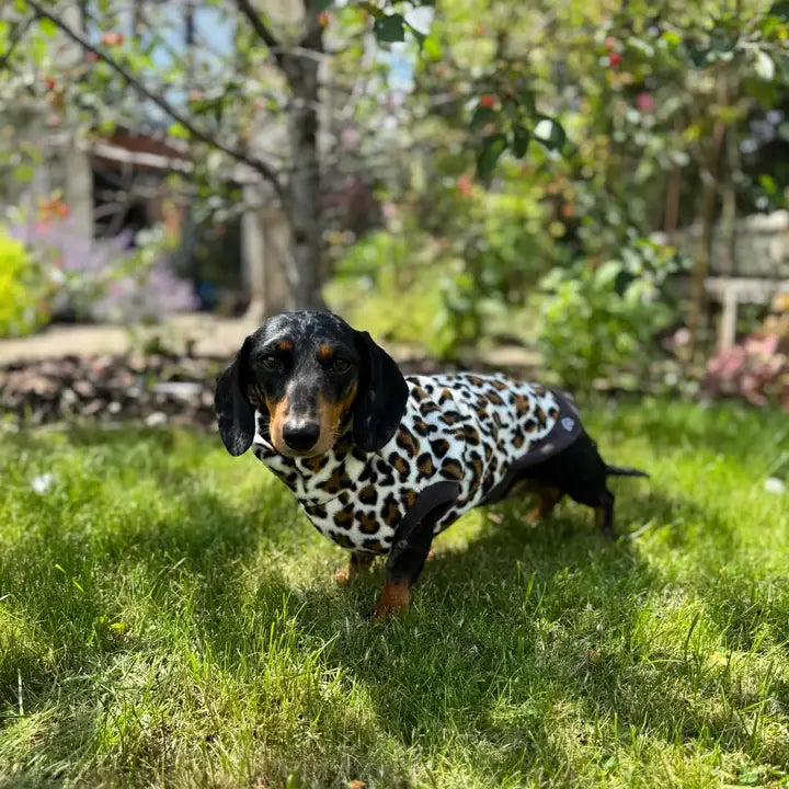 Dachshund Fleece Sweater | Leopard Print