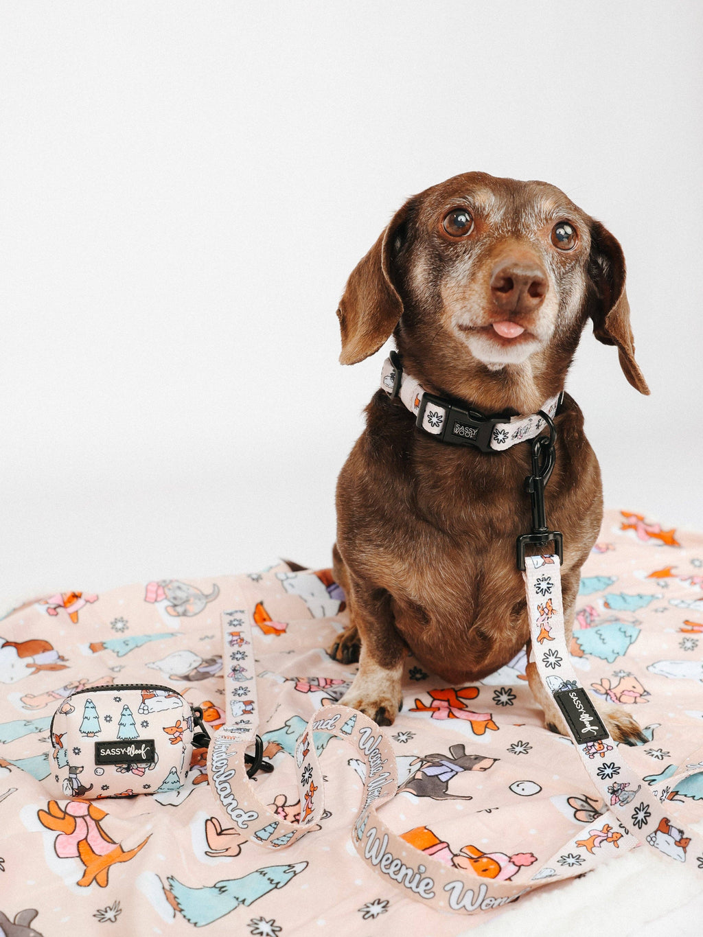 Weenie Wonderland | Dog Collar