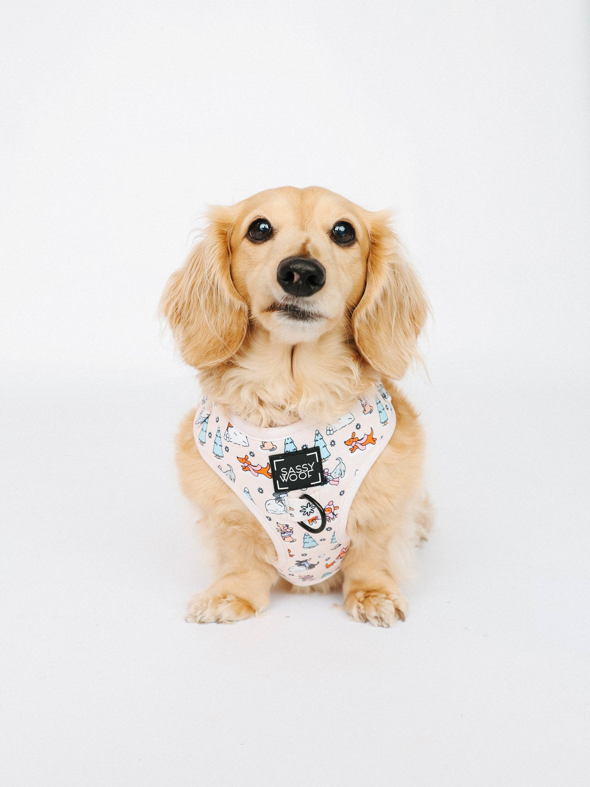 Weenie Wonderland | Dog Adjustable Harness