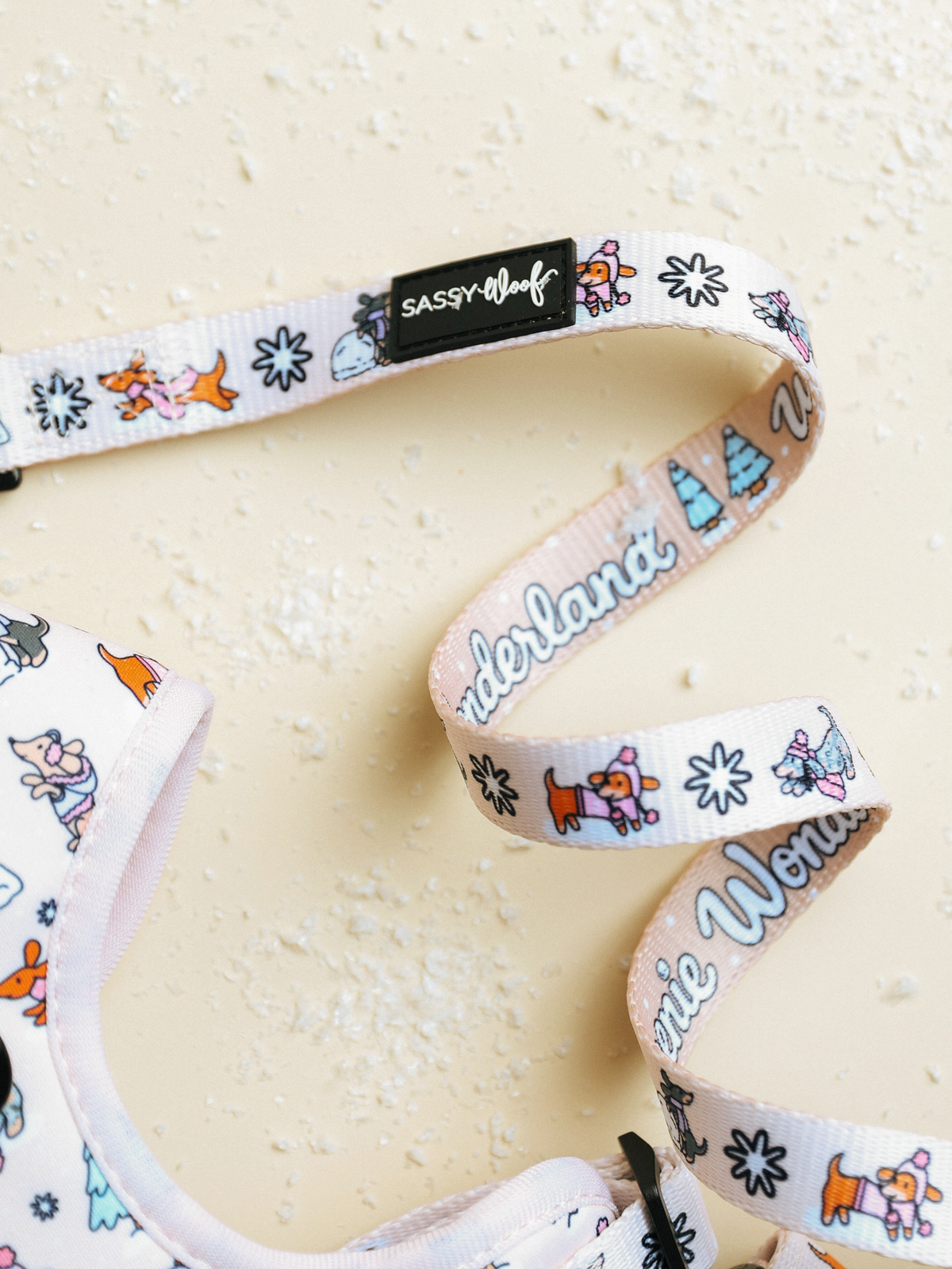 Weenie Wonderland | Dog Leash