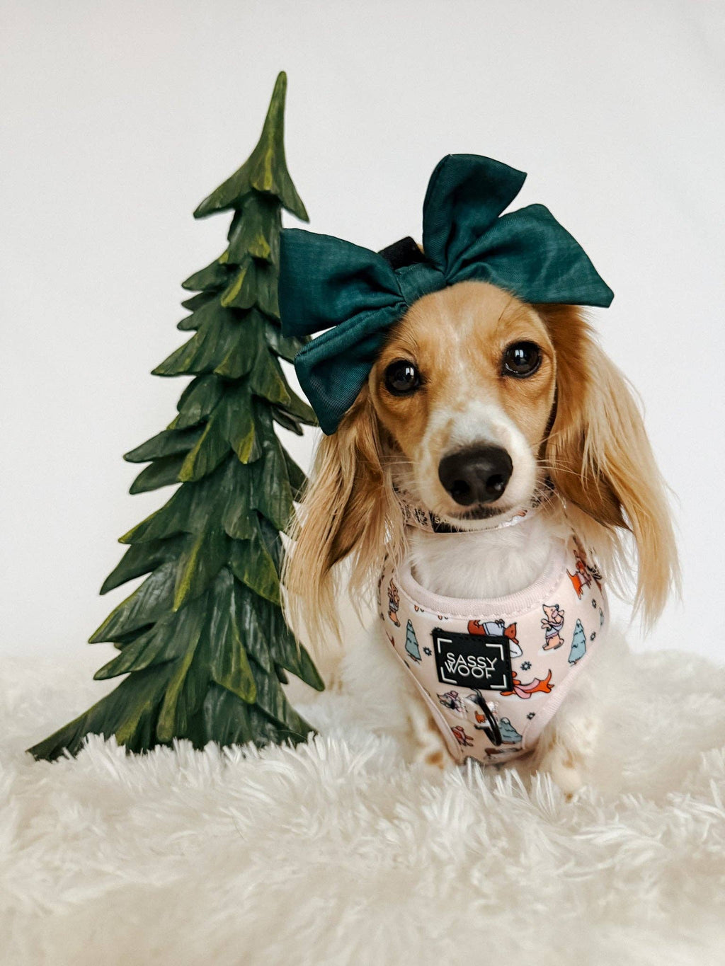 Weenie Wonderland | Dog Collar