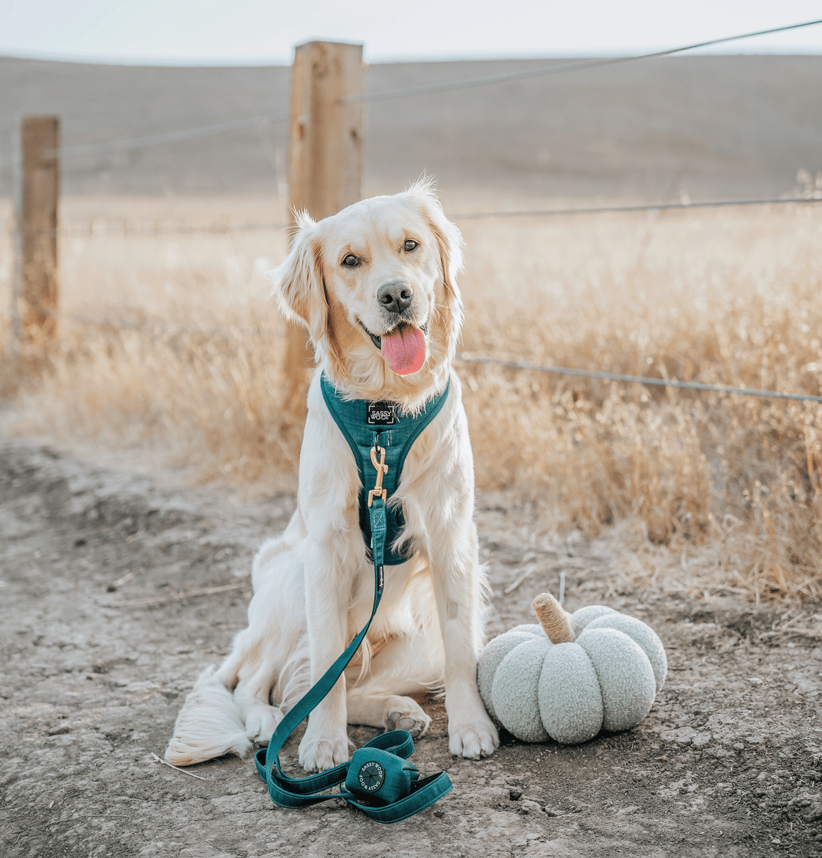 Forest Green | Dog Leash