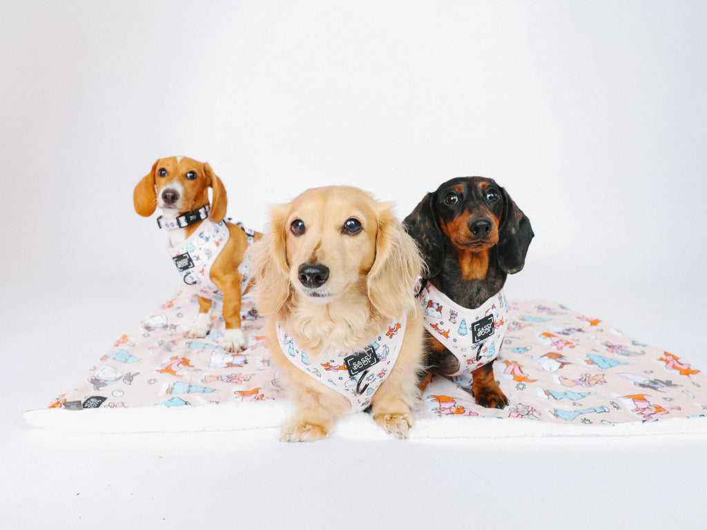 Weenie Wonderland | Dog Adjustable Harness