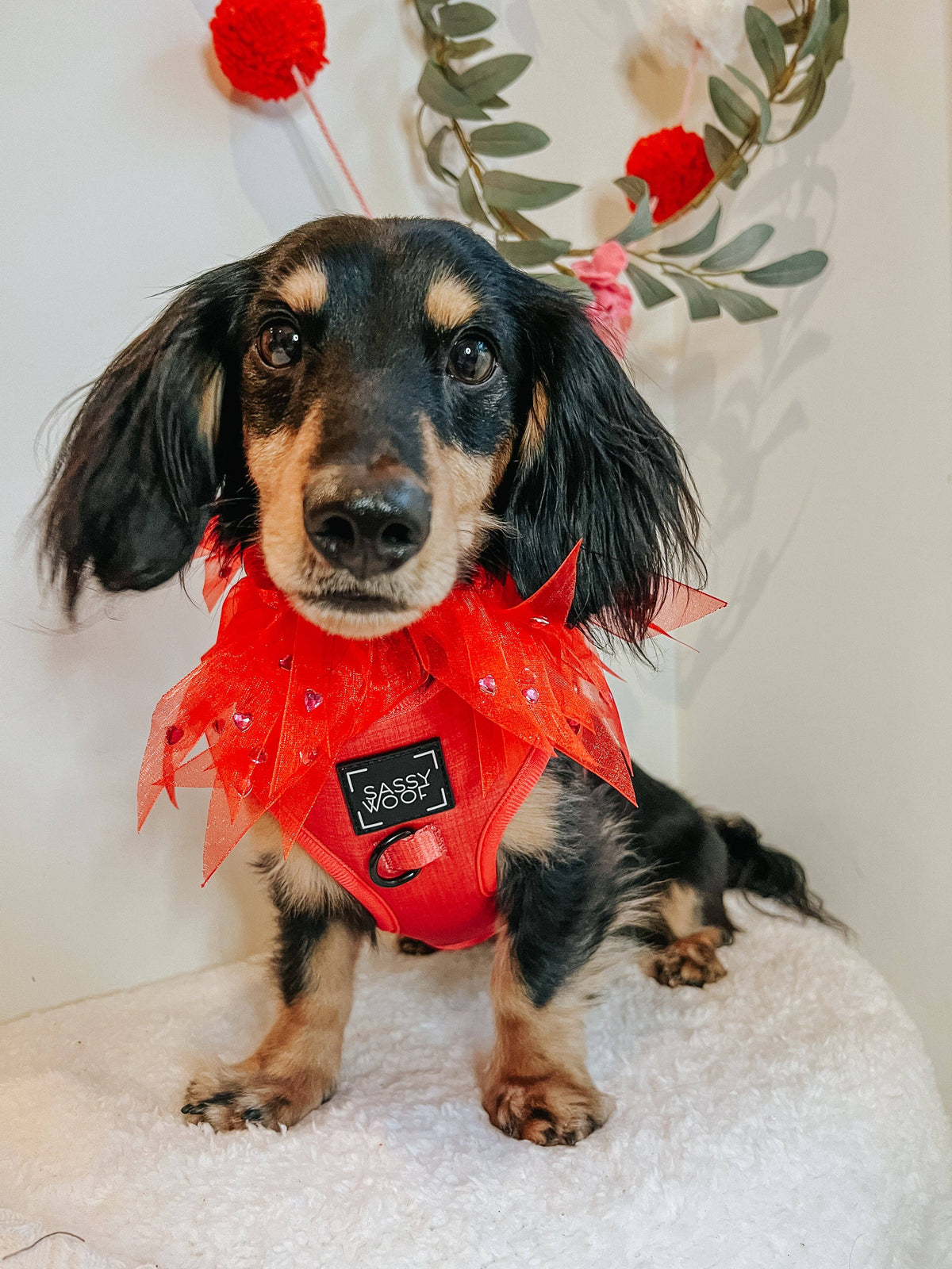 Merlot | Dog Adjustable Harness