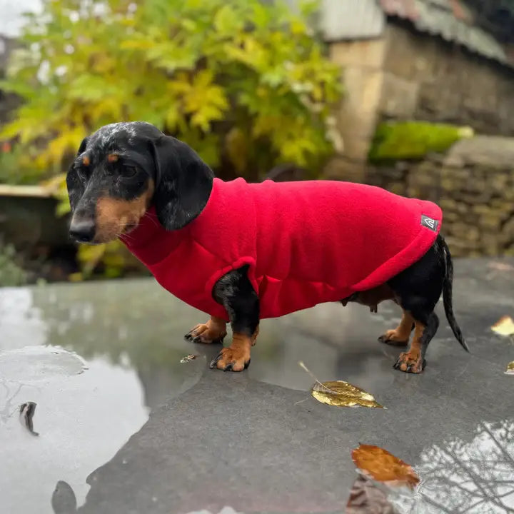 Mini Dachshund Fleece Sweater with Waterproof Belly Panel