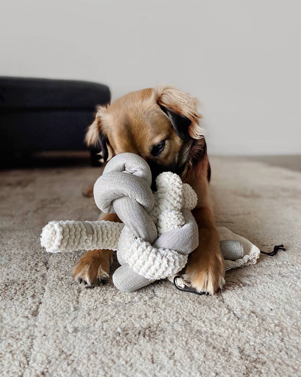 Nou | Dog Enrichment