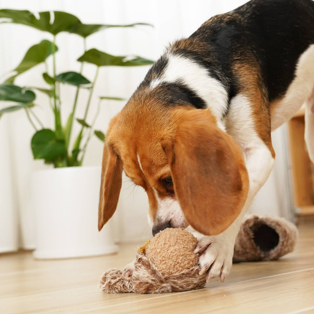 Squirrel Pop | Dog Enrichment