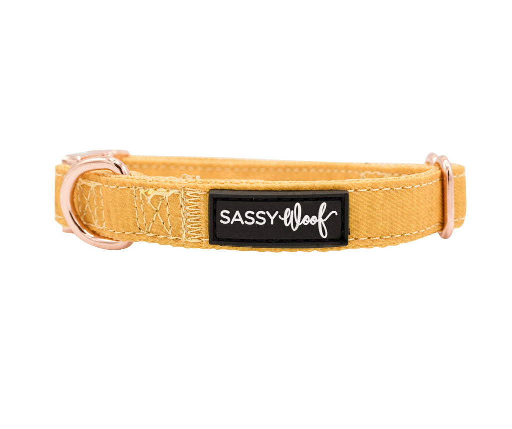 Mustard | Dog Collar