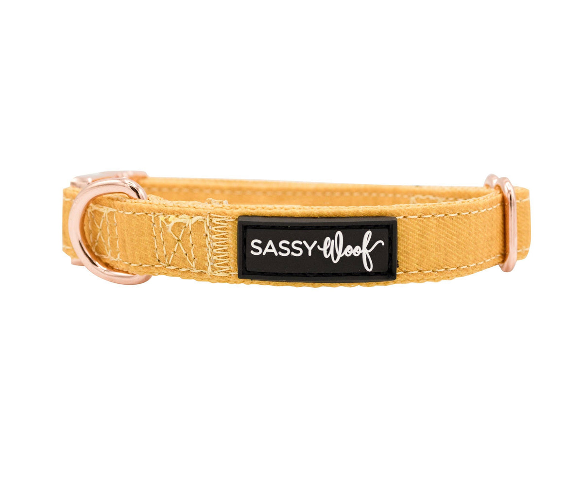 Mustard | Dog Collar