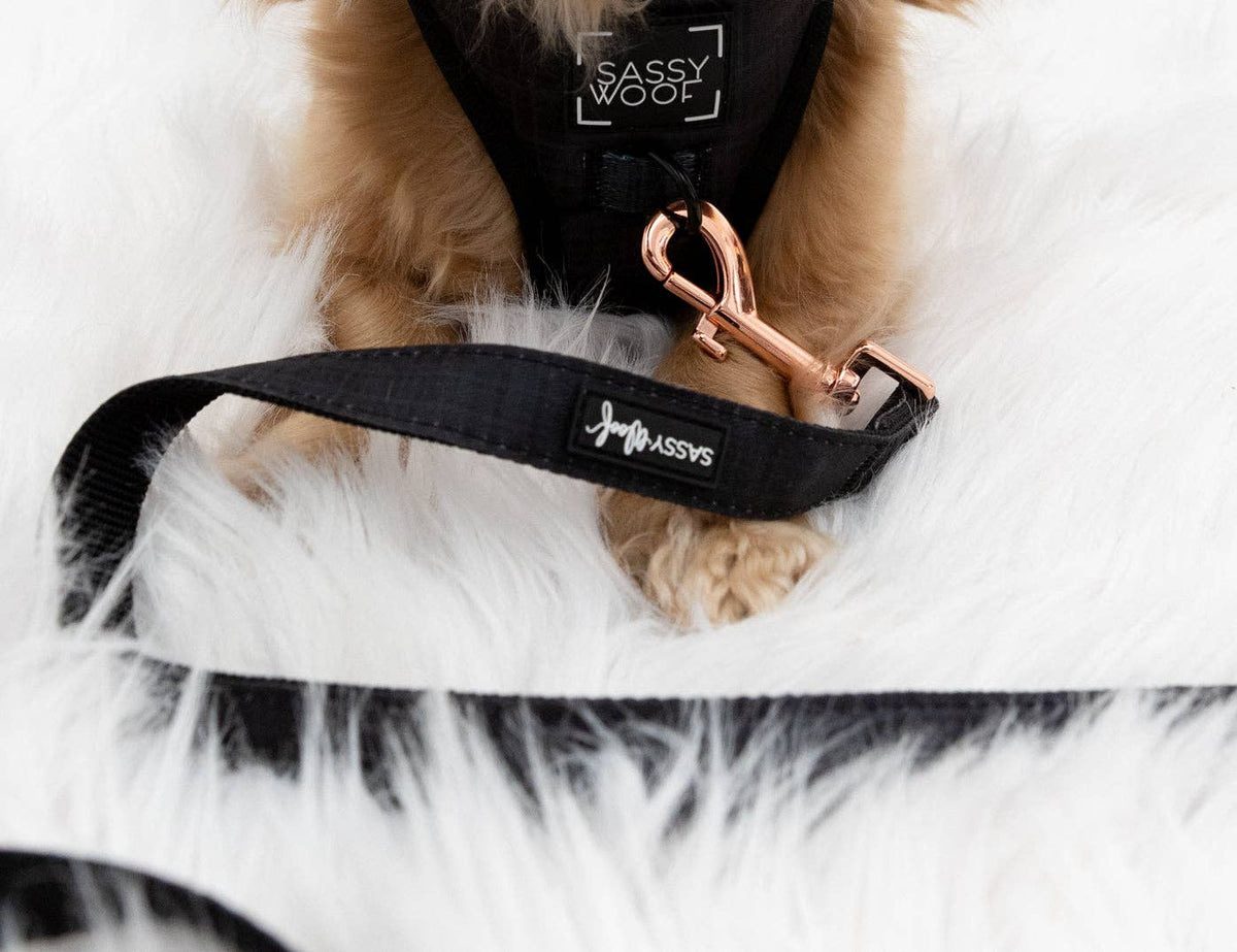 Black Plaid | Dog Leash