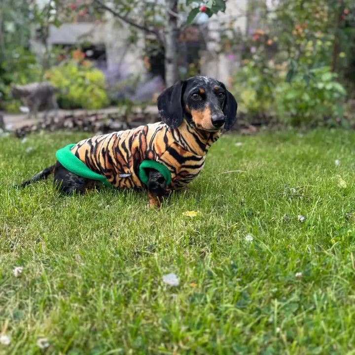 Dachshund Fleece Sweater | Leopard Print