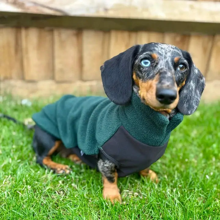 Mini Dachshund Fleece Sweater with Waterproof Belly Panel