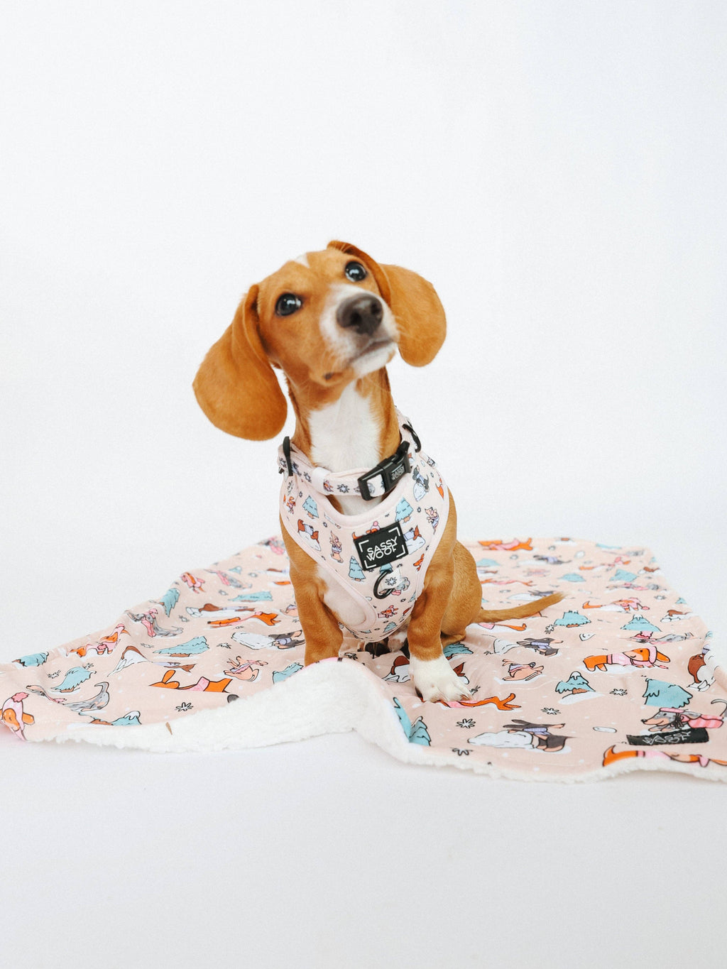 Weenie Wonderland | Dog Collar