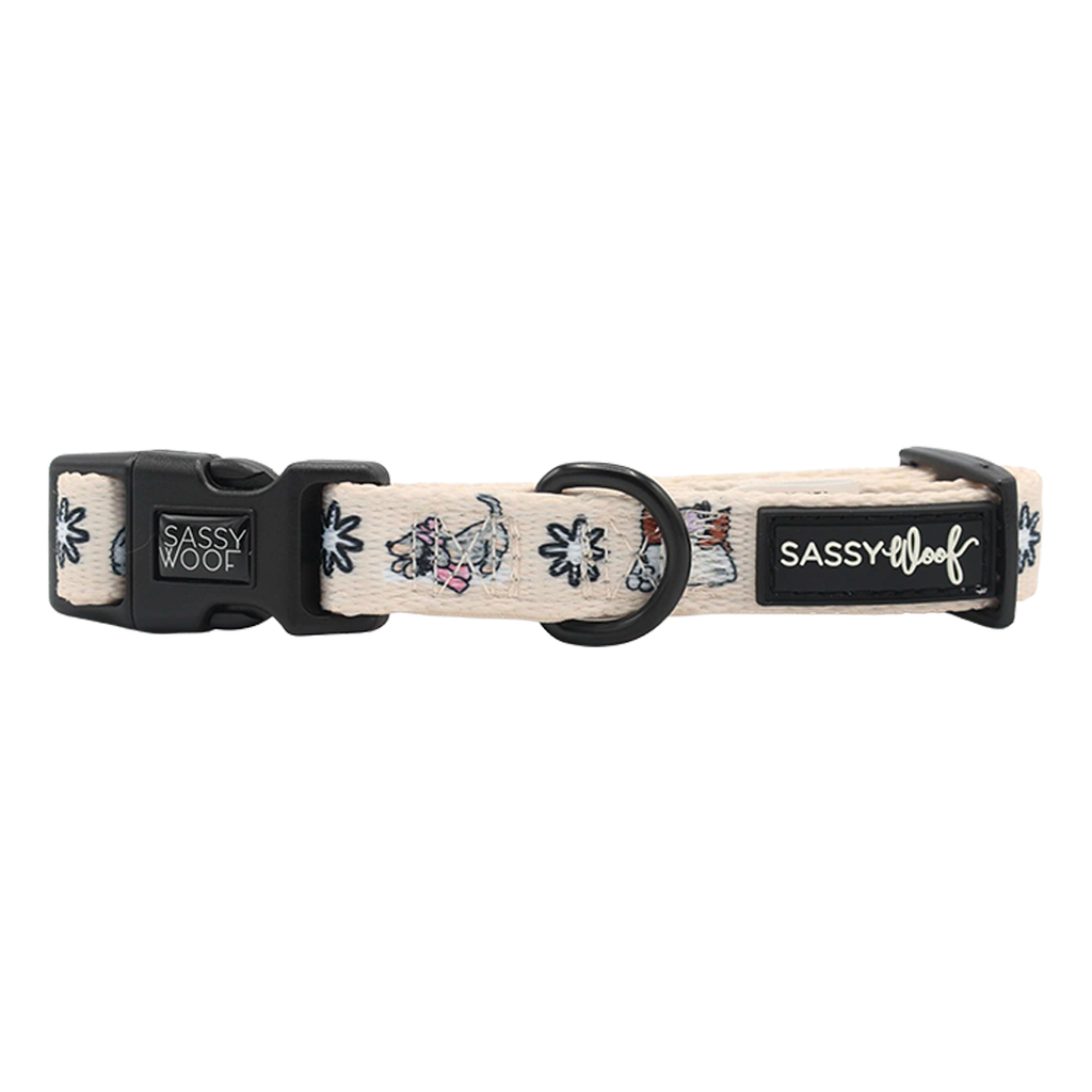 Weenie Wonderland | Dog Collar