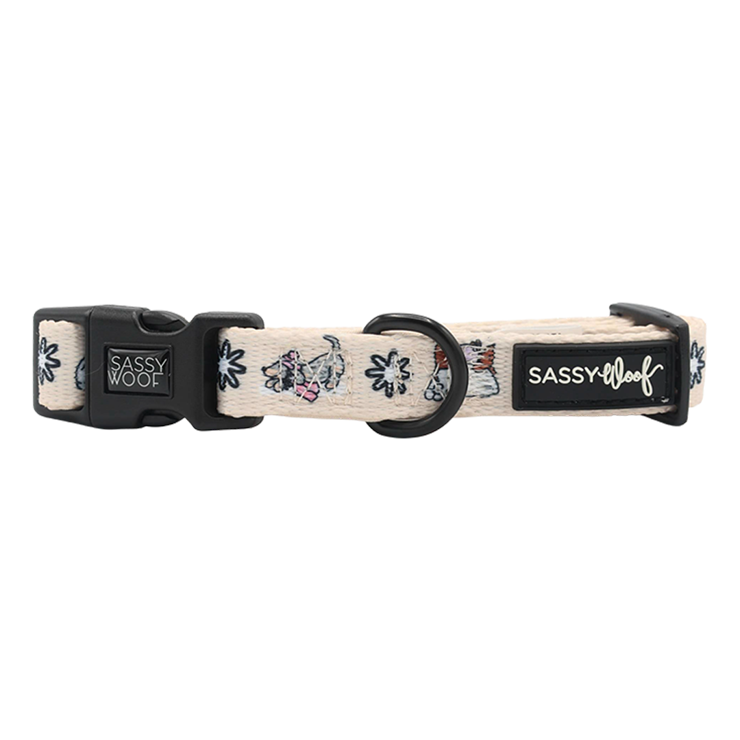 Weenie Wonderland | Dog Collar