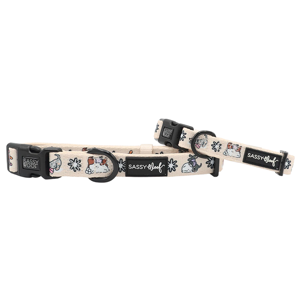 Weenie Wonderland | Dog Collar