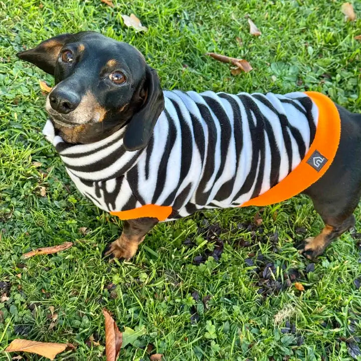 Dachshund Fleece Sweater | Leopard Print