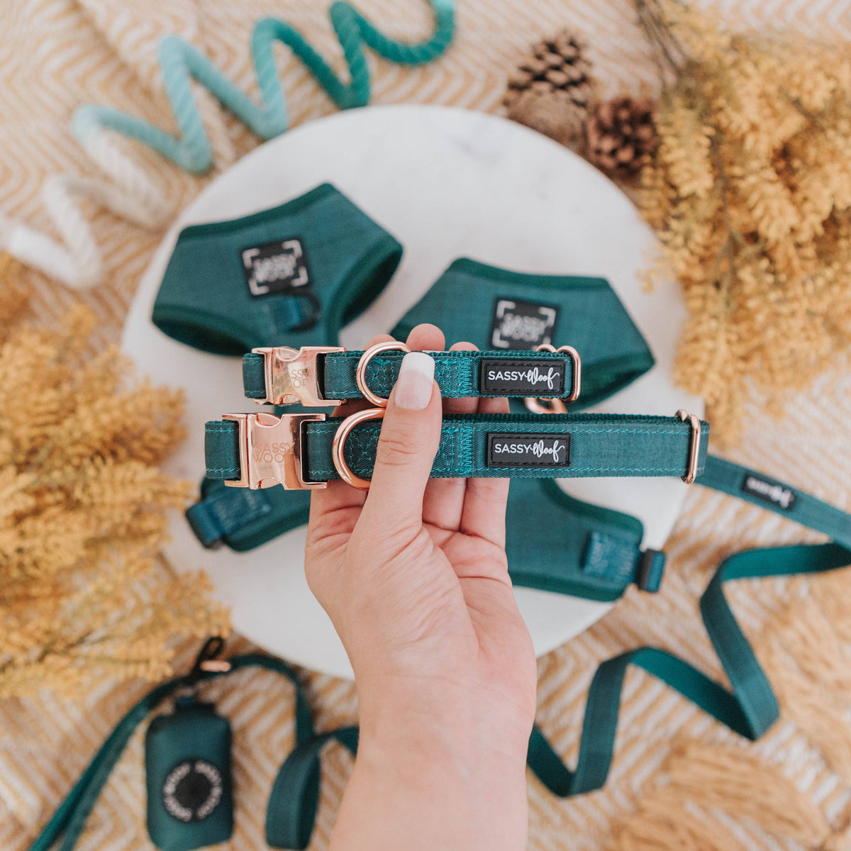 Forest Green | Dog Collar
