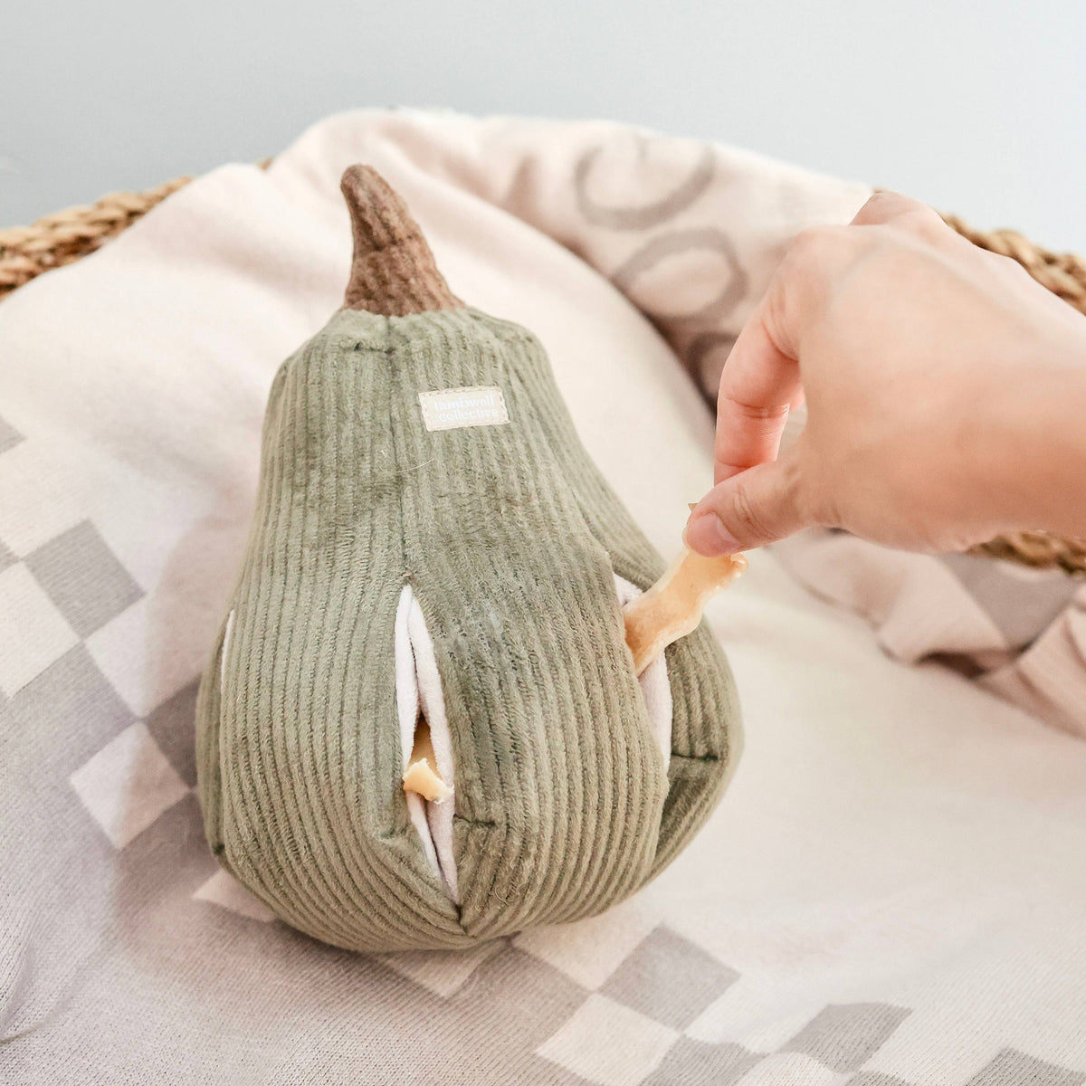 Butternut | Dog Toy