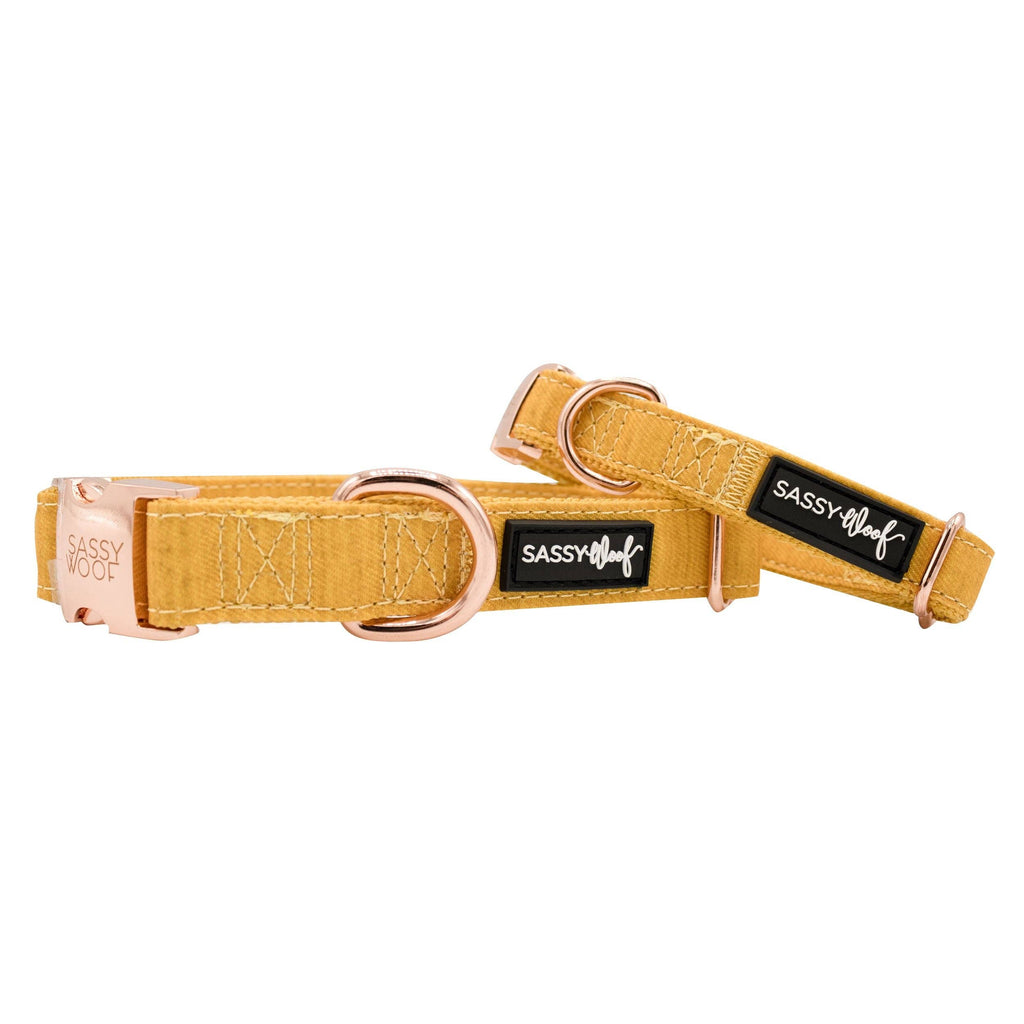 Mustard | Dog Collar