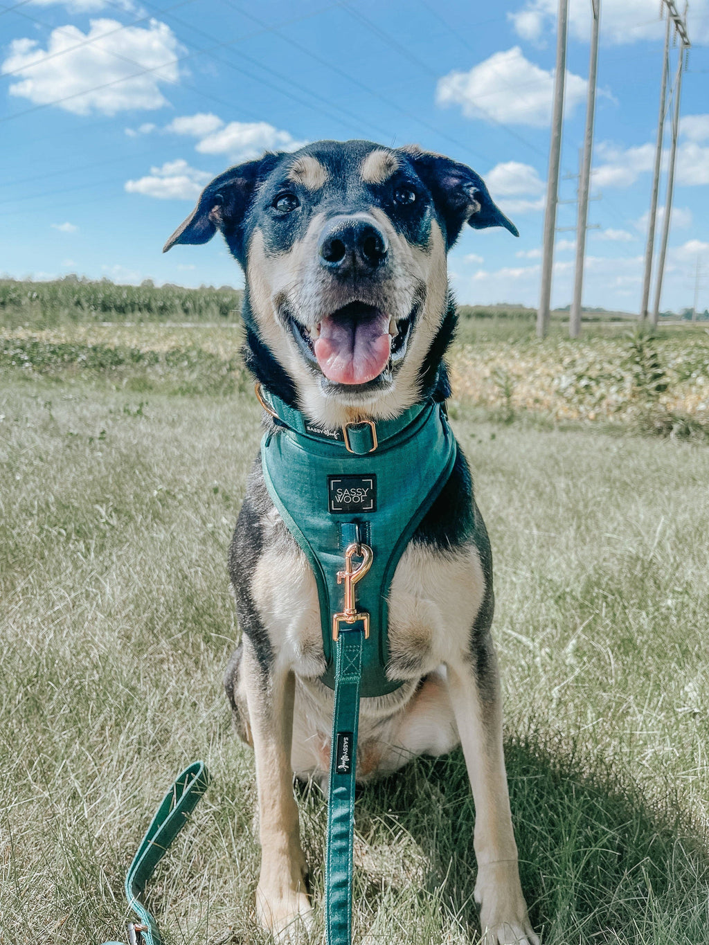 Forest Green | Dog Adjustable Harness