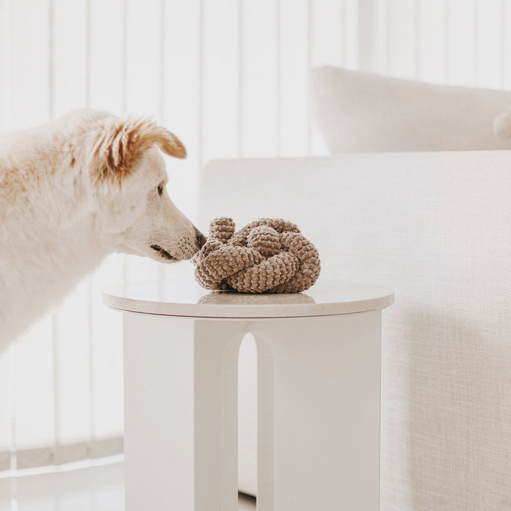 Nou | Dog Enrichment