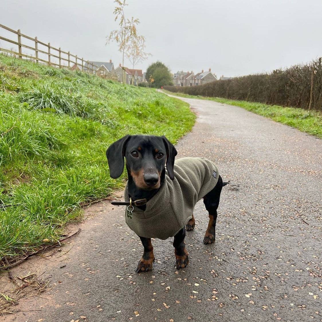 Mini Dachshund Fleece Sweater | Handmade, Cut for Long Backs