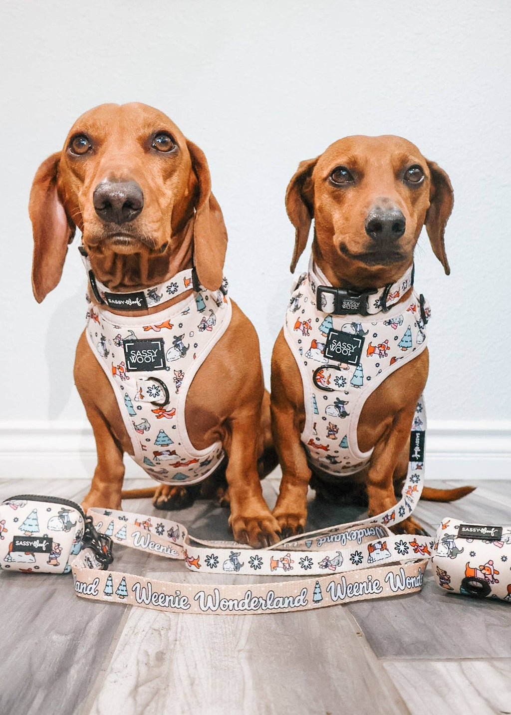 Weenie Wonderland | Dog Collar