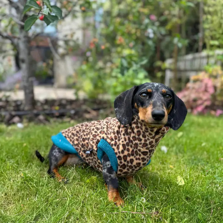 Dachshund Fleece Sweater | Leopard Print