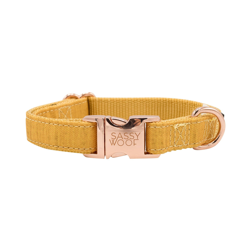 Mustard | Dog Collar