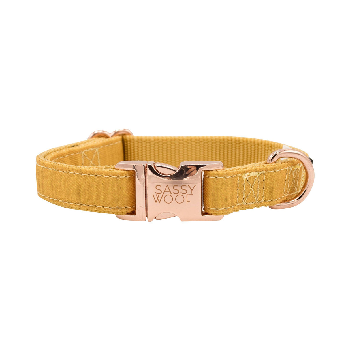 Mustard | Dog Collar