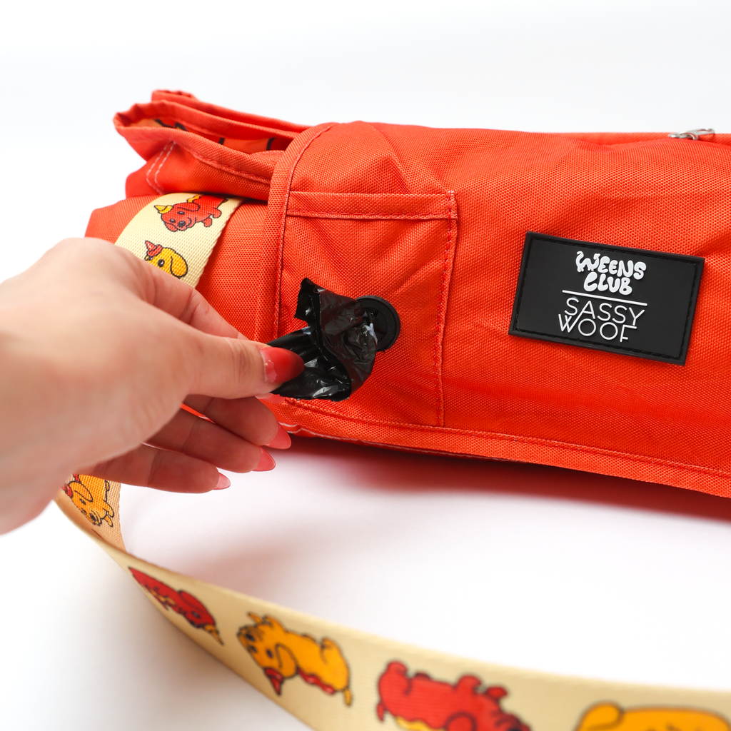 Hot Dawg | Dachshund Picnic Blanket