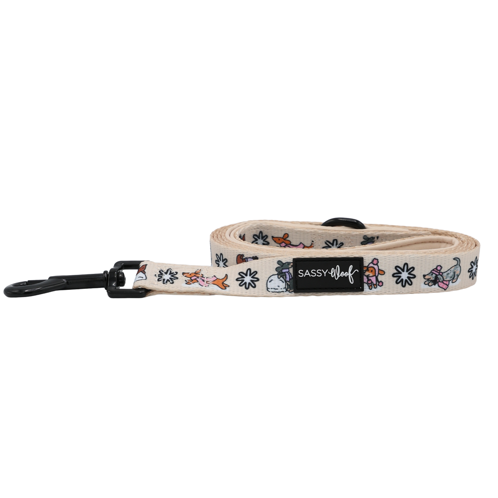 Weenie Wonderland | Dog Leash