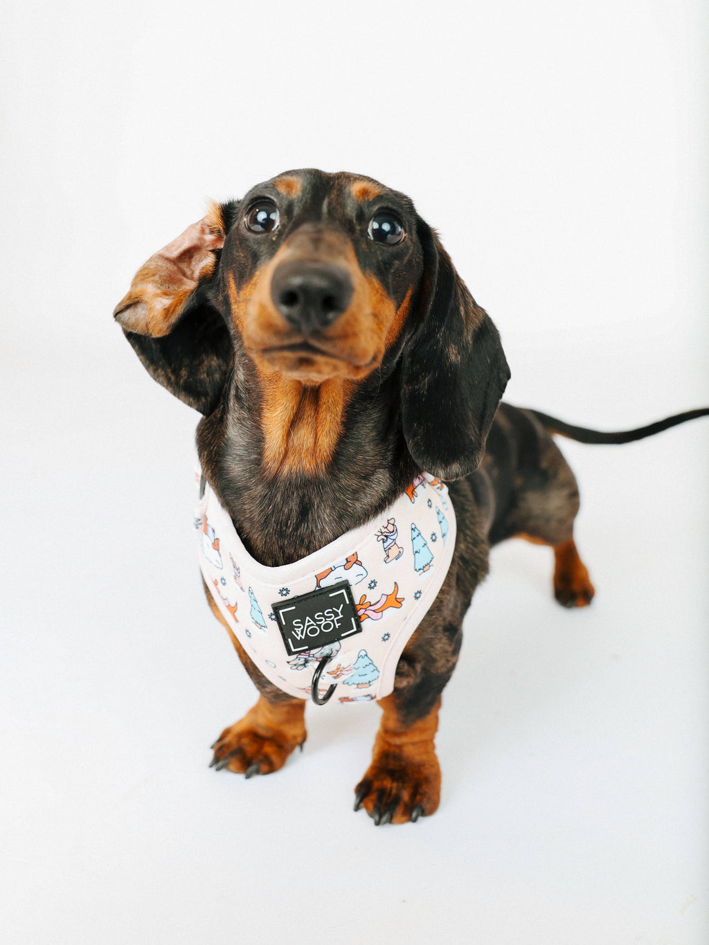 Weenie Wonderland | Dog Adjustable Harness