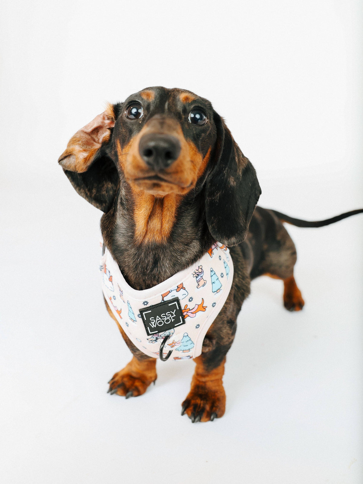 Weenie Wonderland | Dog Adjustable Harness