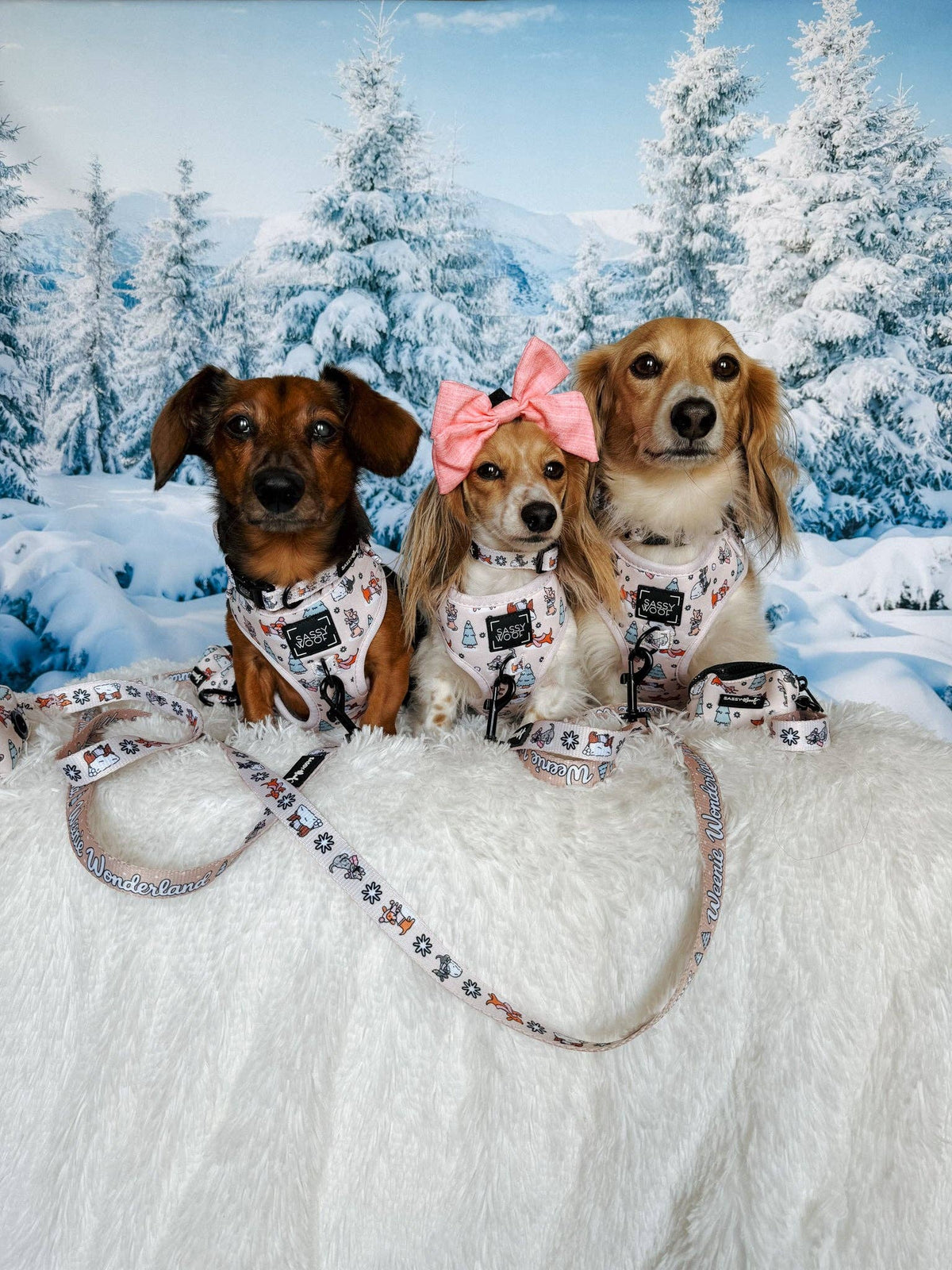 Weenie Wonderland | Dog Collar