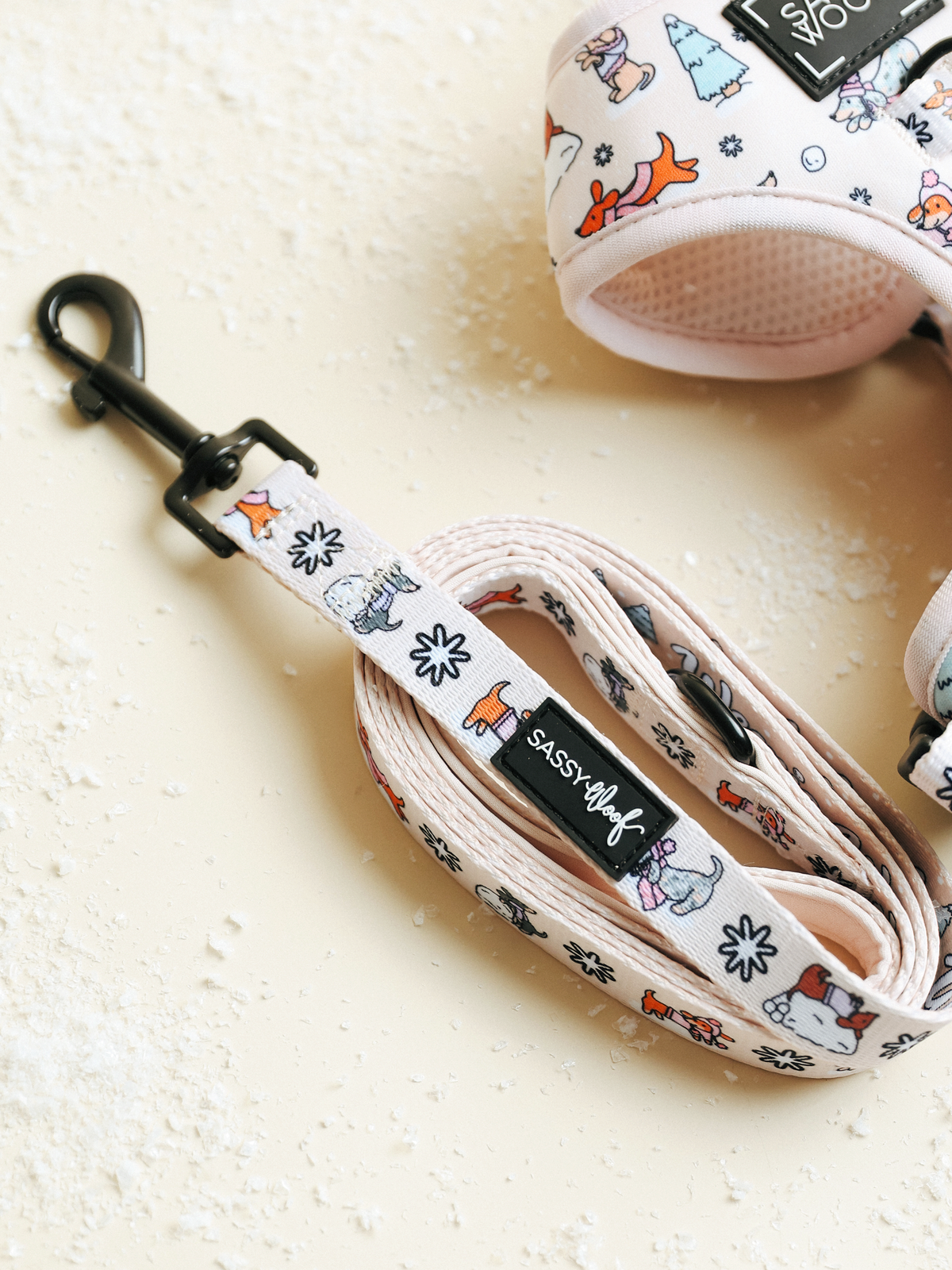 Weenie Wonderland | Dog Leash