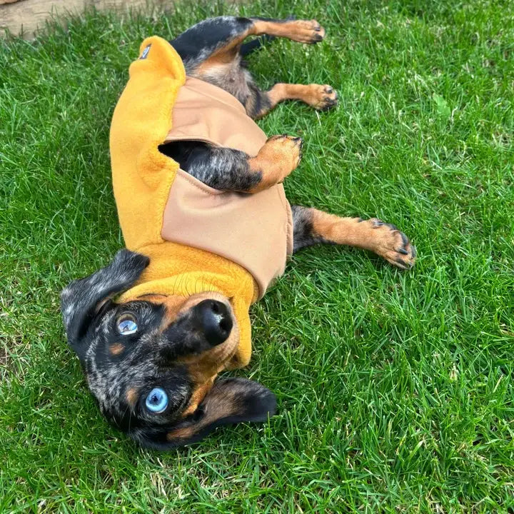 Mini Dachshund Fleece Sweater with Waterproof Belly Panel