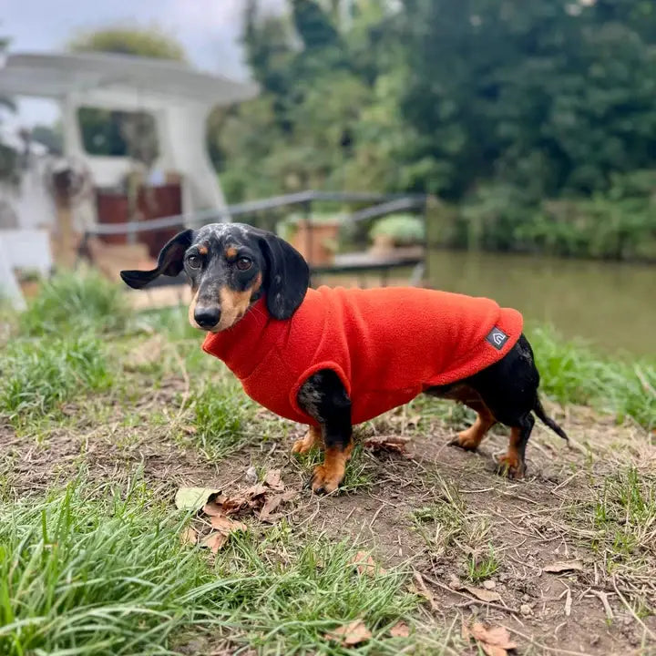 Mini Dachshund Fleece Sweater | Handmade, Cut for Long Backs