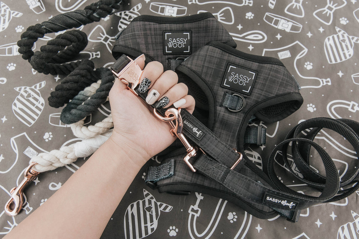 Black Plaid | Dog Collar
