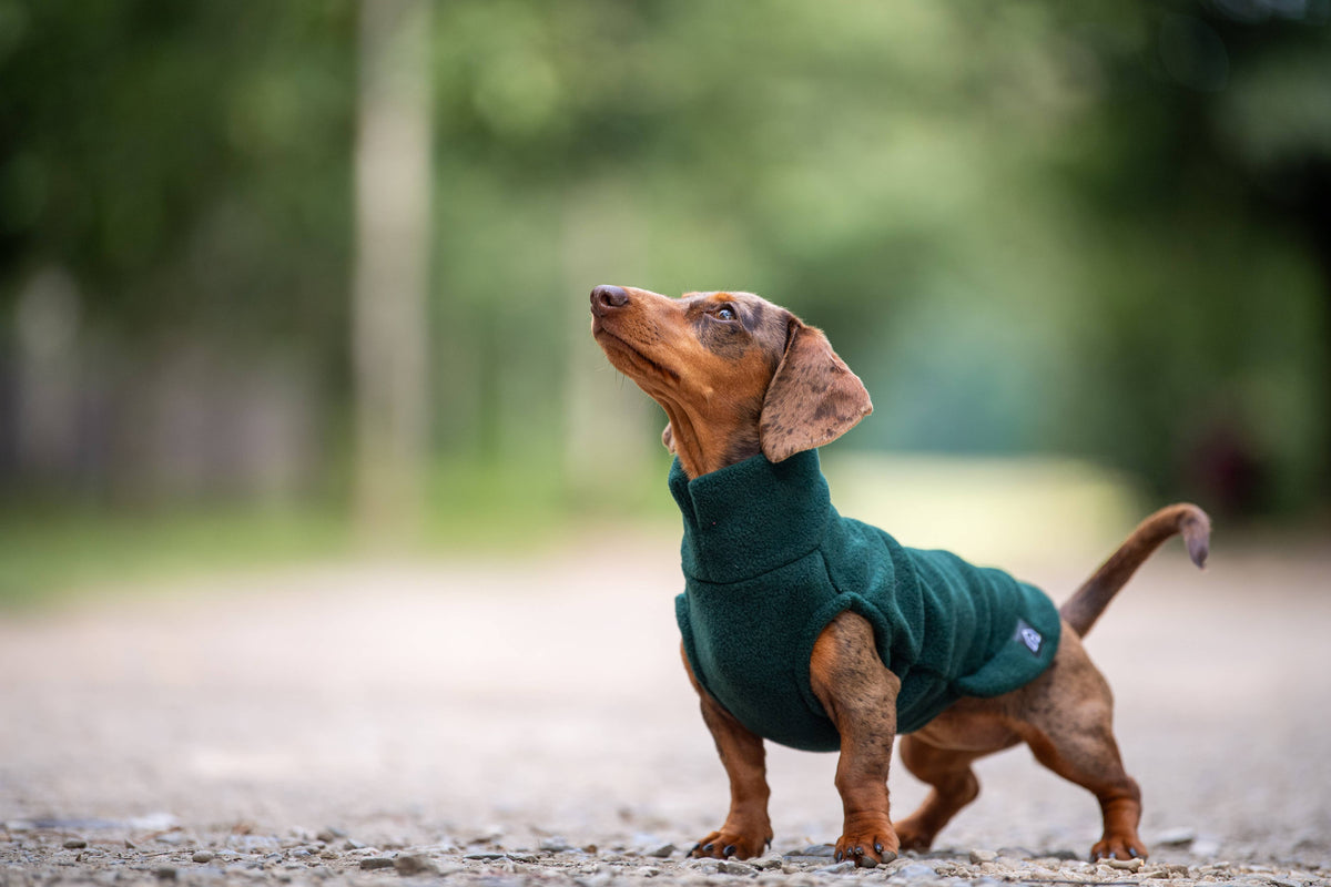 Mini Dachshund Fleece Sweater | Handmade, Cut for Long Backs