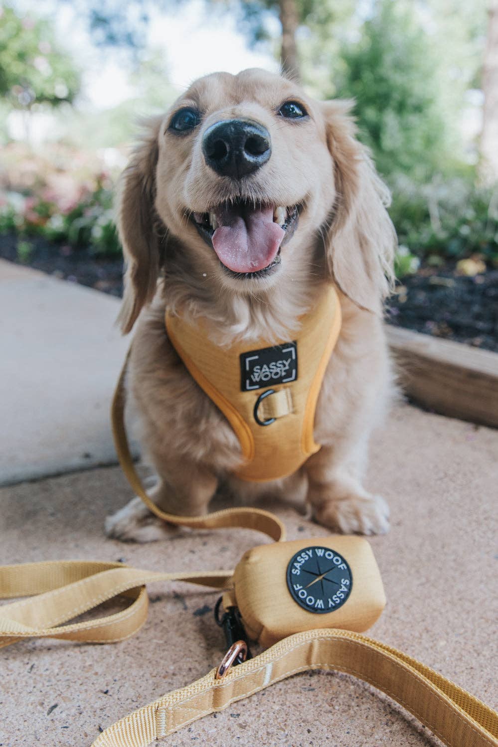 Mustard | Dog Adjustable Harness