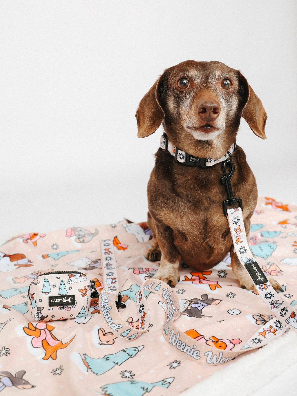 Weenie Wonderland | Dog Waste Bag Holder